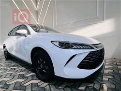 بي واي دي Qin Plus